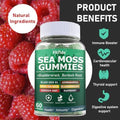 Creatine Monohydrate Gummies 5000mg + Irish Sea Moss 3000mg Gummies – Support for Muscles, Immune, Thyroid & Wellbeing – Vegan, Sugar Free, 2-Pack Supplement Bundle