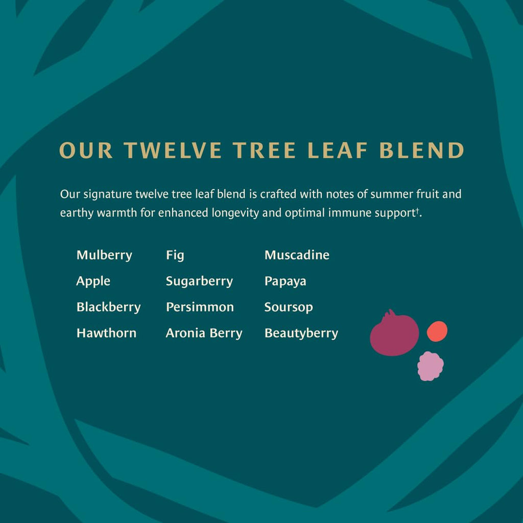 Healing Leaves, Longevity Blend Tea Bags- 30 Count | Biblically Inspired, 12 Fruit Tree Leaf Blend. Supports Digestion, Immune Function, Healthy Inflammation Response and Energy