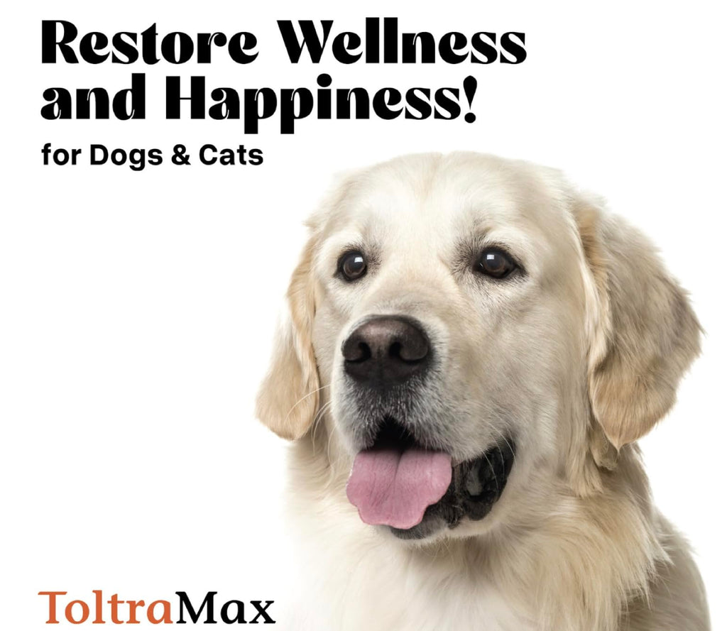 Vetr's Toltramax Toltrazuril Powder for Horses, Dogs, Cats, 100g (10.0%, Chicken)