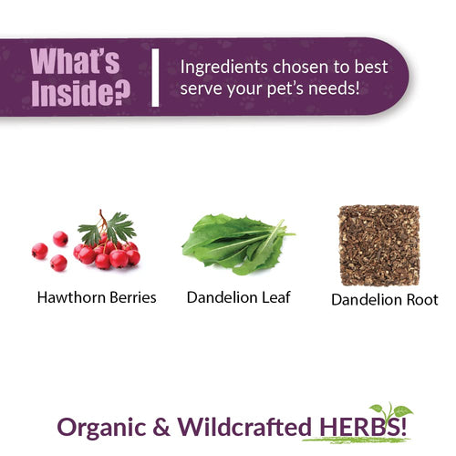 Amber NaturalZ Hawthorn & Dandelion for Pets, Heart & Circulation Care, 1oz | Maintains optimal cardiovascular wellness in pets. Supports normal heart function, healthy blood circulation & fluid balance.