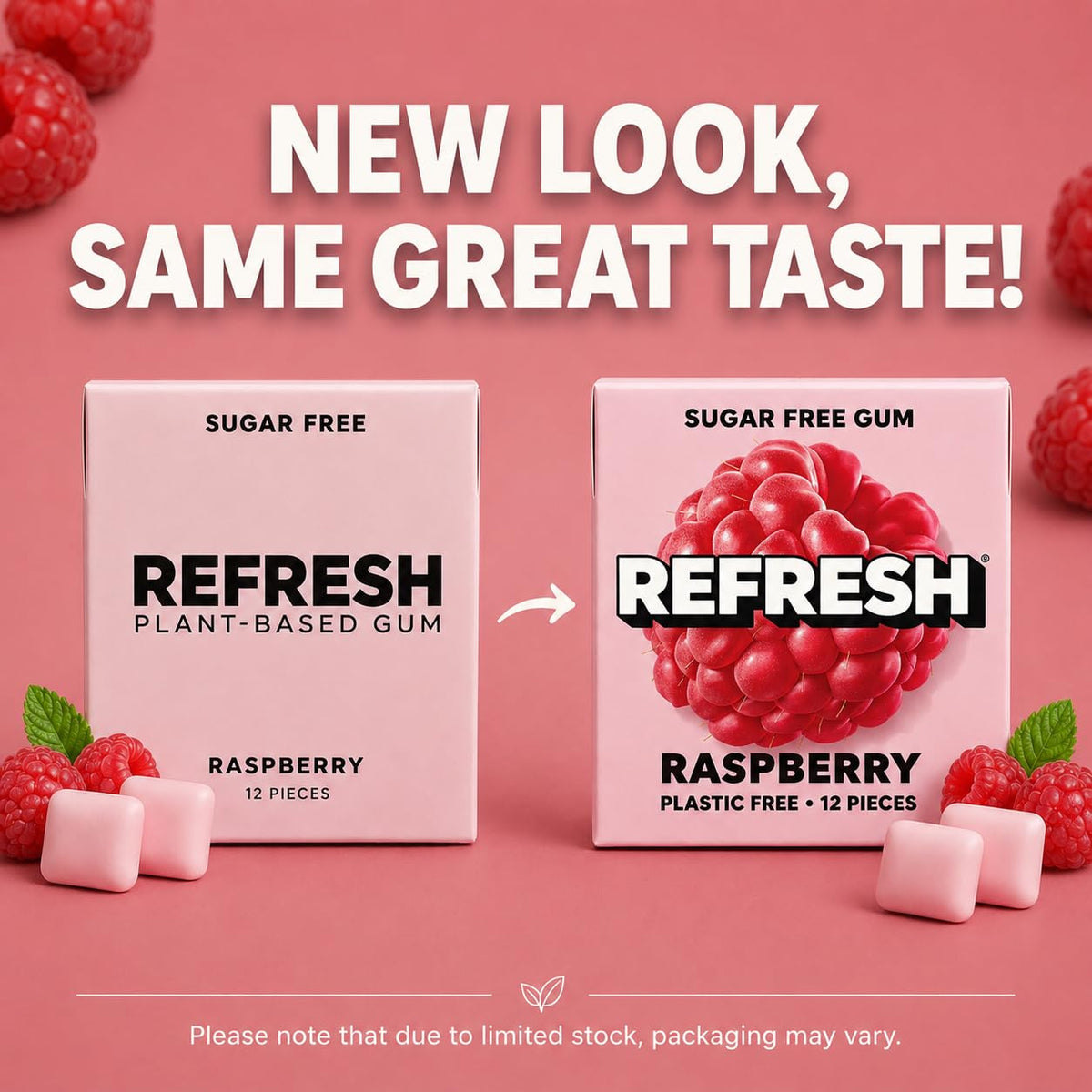 Refresh Sugar Free Chewing Gum with Xylitol, Garden Mint, 12 Pack