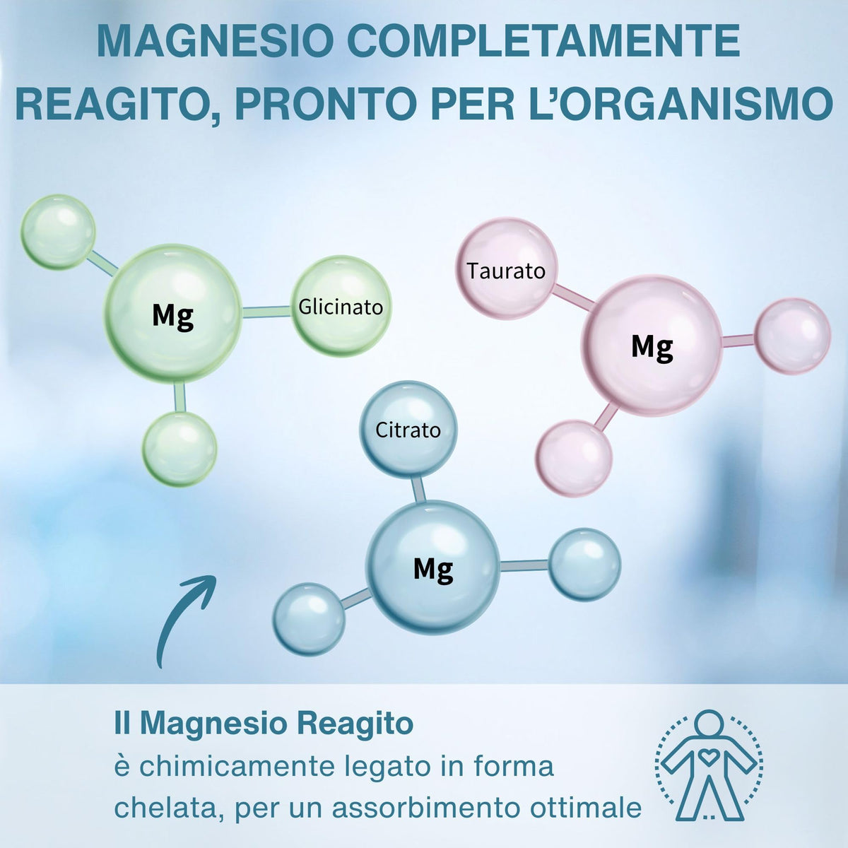 Igennus Superior Triple Magnesium Complex, Fully Reacted & Chelated Glycinate, Taurate & Citrate, Clean Label, High Bioavailability & Absorption, 60 Tablets, Vegan, Non-Buffered