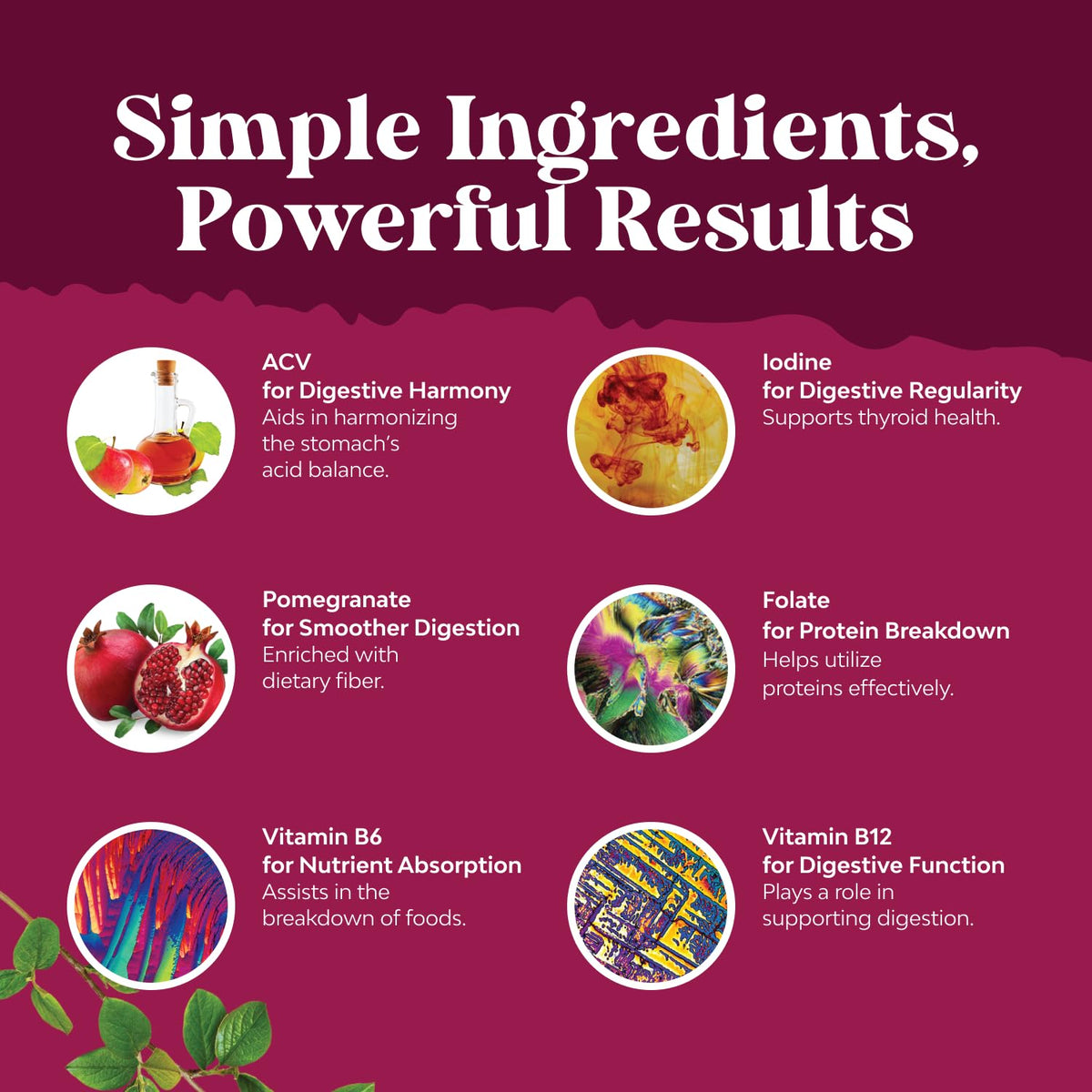 Apple Cider Vinegar Gummies with Mother - Cleanse & Detox ACV Gummies for Weight Loss, Gut Health, Bloating, Metabolism & Energy Support - ACV with Mother with B12 Vitamin, B6 & Pomegranate - 60 Ct