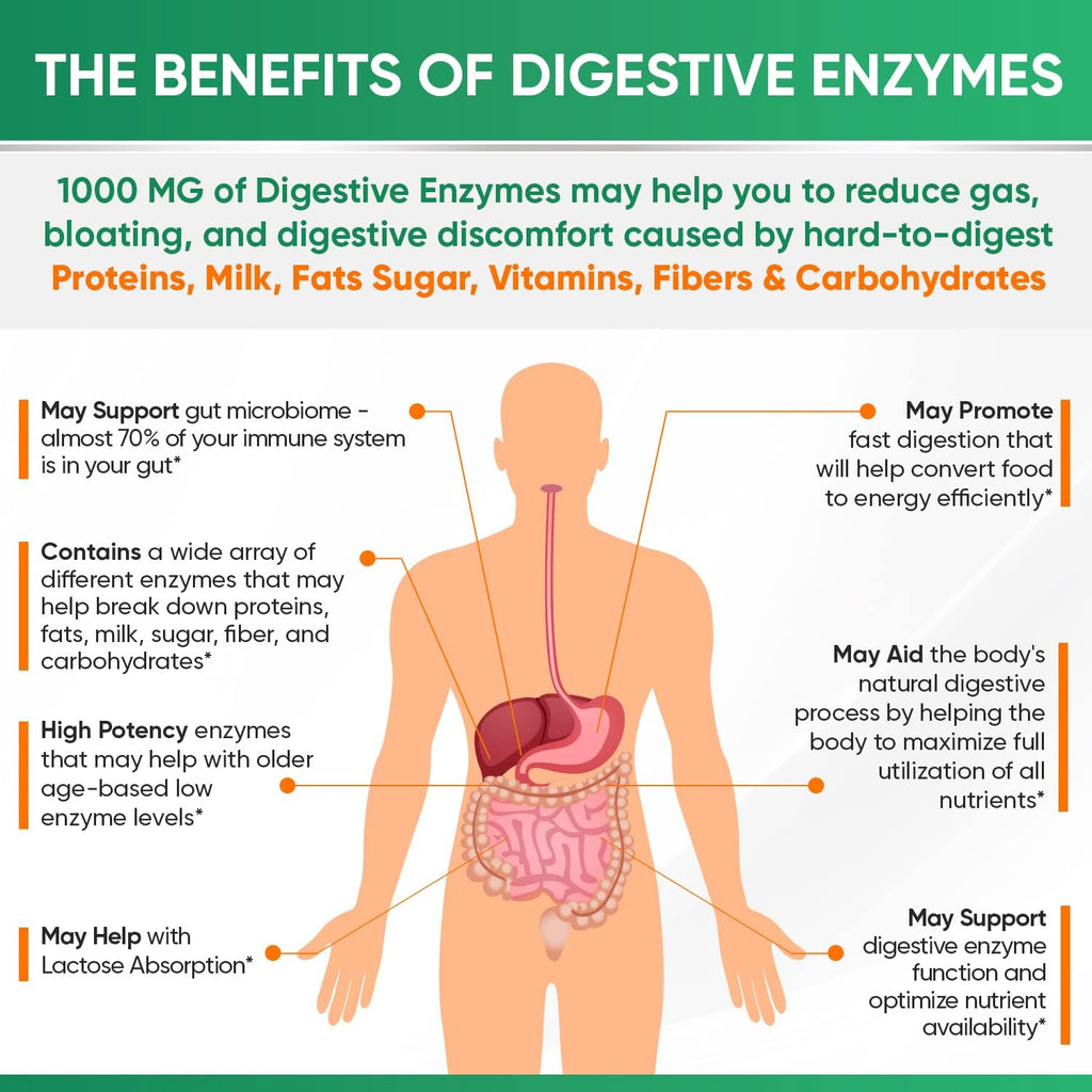 Wholesome Wellness Digestive Enzymes 1000MG Plus Prebiotics & Probiotics + Liposomal Vitamin C Capsules (200 Pills 1500mg Buffered) Bundle