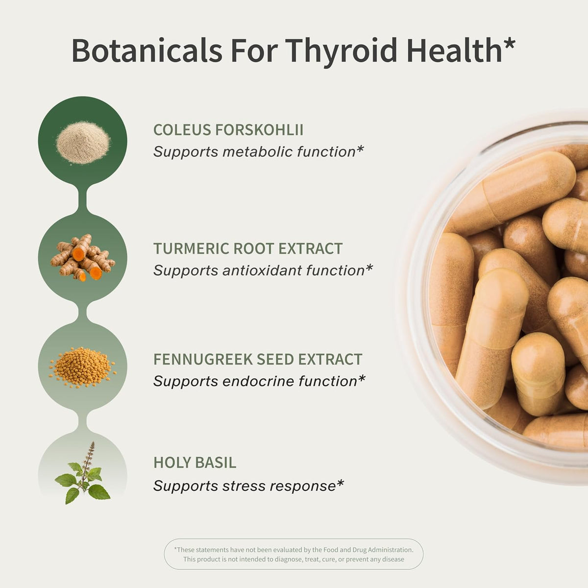 Snap Supplements Thyroid Health, Selenium, Zinc, L-Tyrosine, 60 Capsules | Thyroid Support Supplement for Women & Men, Botanicals for Metabolism, Energy & Endocrine Balance, Iodine-Free, Vegan