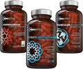 OmniBiotics Ultimate Daily Multivitamin + Magnesium Glycinate + Ashwagandha Root Supplement