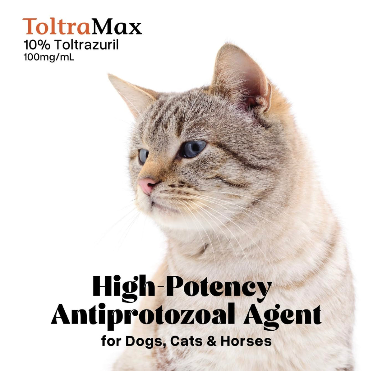Vetr's Toltramax Toltrazuril Powder for Horses, Dogs, Cats, 100g (10.0%, Chicken)