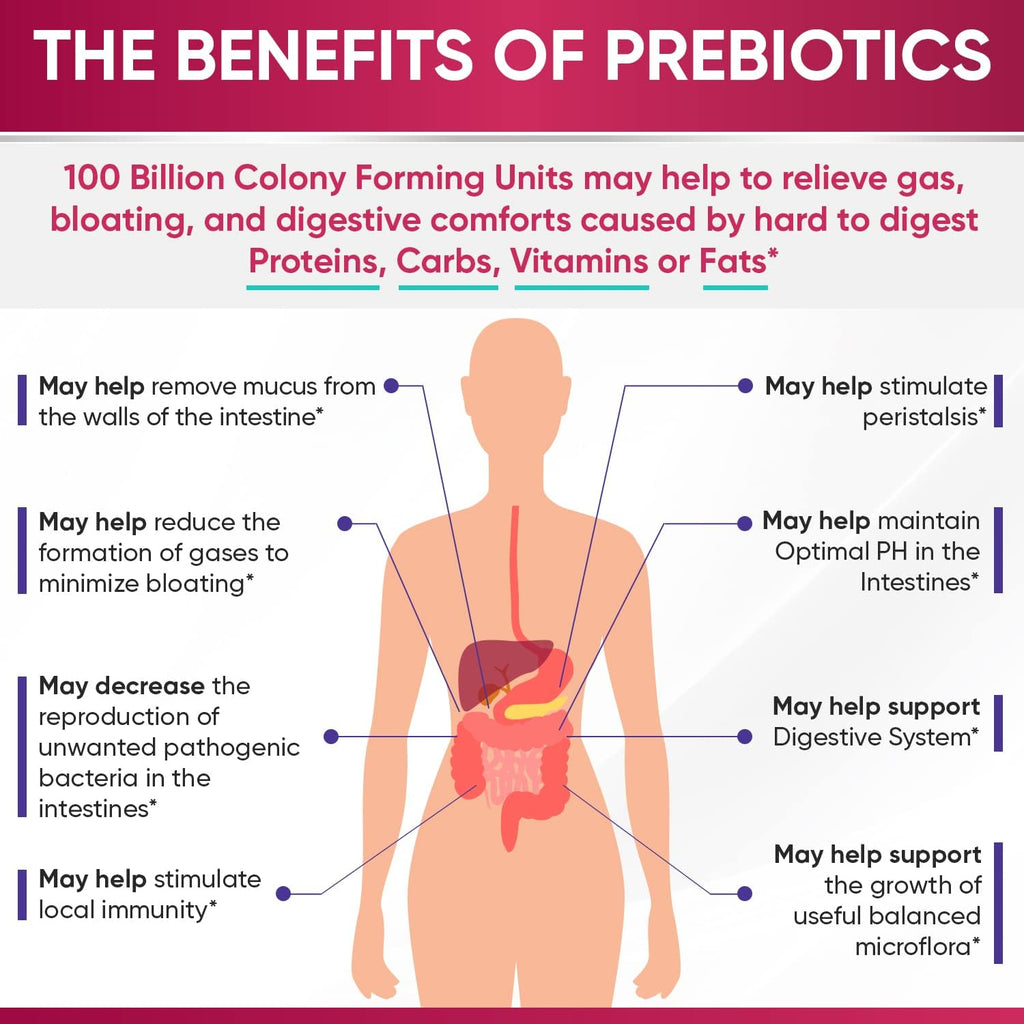 Wholesome Wellness Probiotics for Women 100 Billion CFUs with Prebiotics, Digestive Enzymes + Grass Fed Desiccated Beef Liver Capsules Bundle