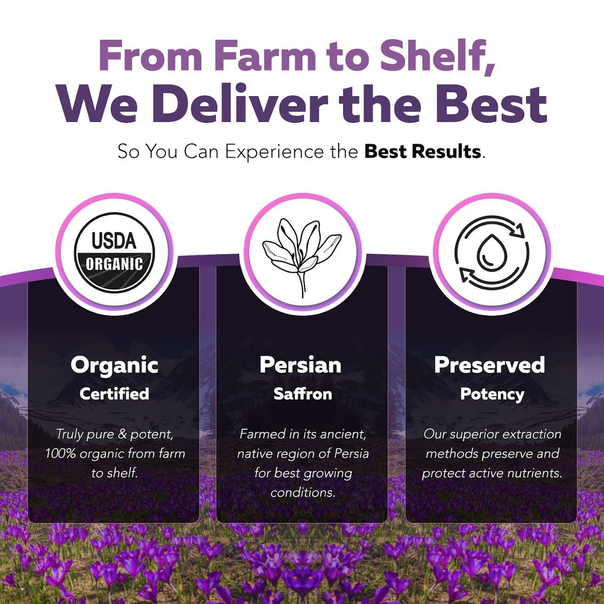 Organic Saffron Extract: Optimized Extract with Safromotivines, Safranal, and Crocins – Clinically Studied | Premium Persian Sargol Quality | Supports Mood, Calmness, and Relaxation – 30 Servings