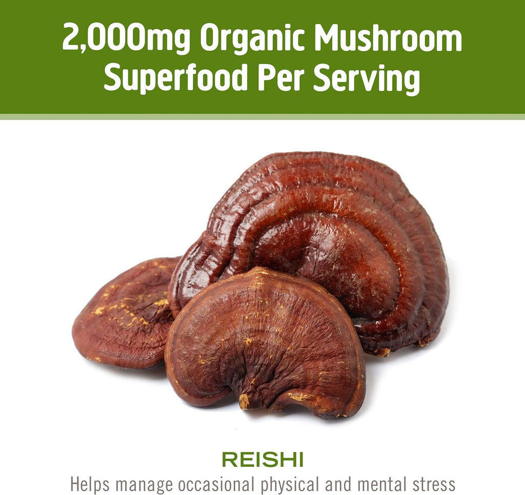 Om Mushroom Superfood Reishi Organic Mushroom Powder, 100 Servings, Organic Adaptogen Powder for Stress Relief and Immune Health