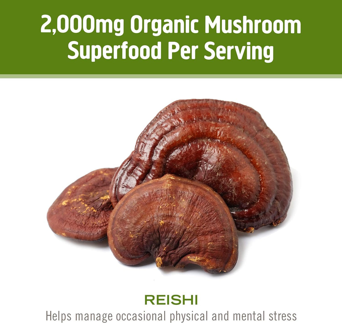 Om Mushroom Superfood Reishi Organic Mushroom Powder, 100 Servings, Organic Adaptogen Powder for Stress Relief and Immune Health