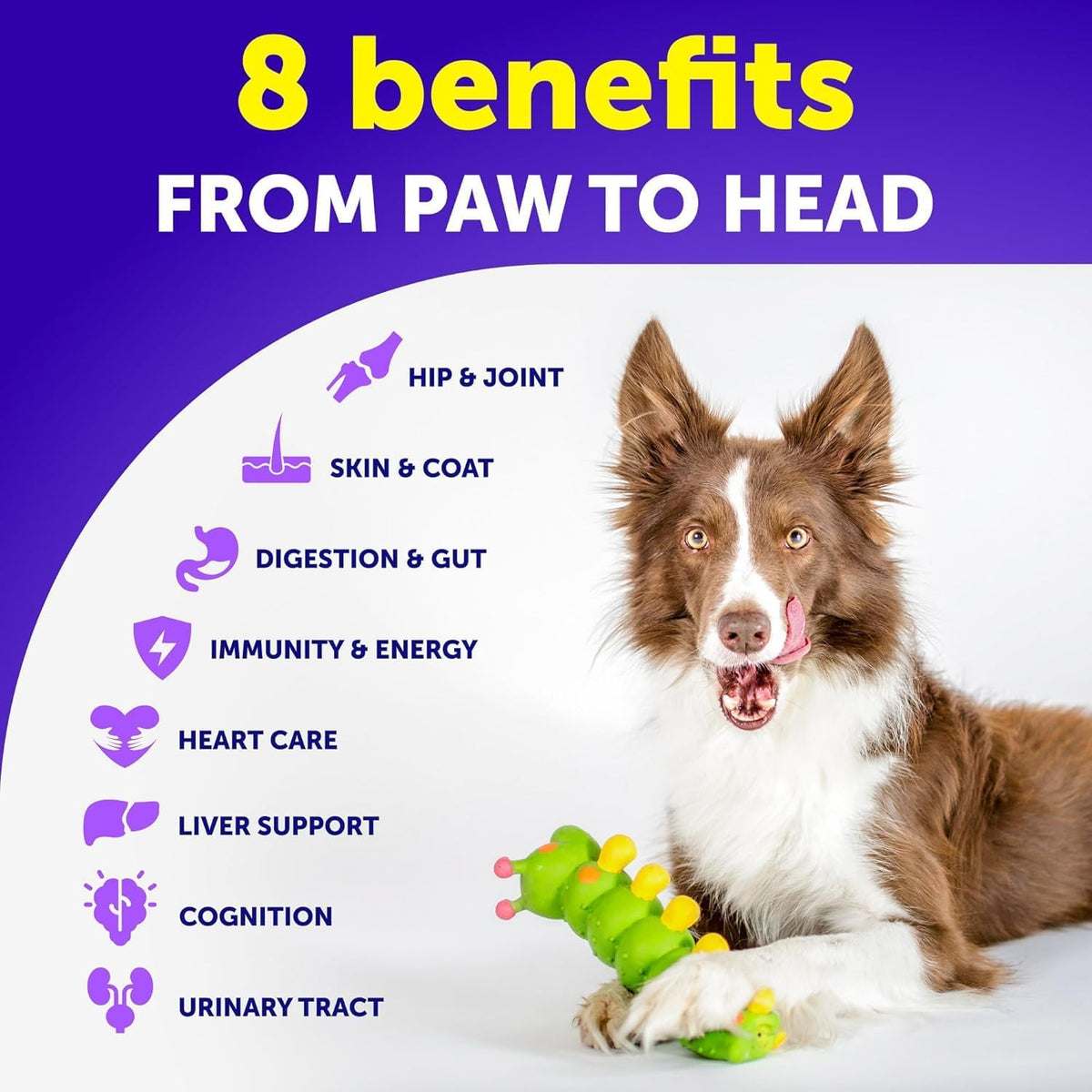 Dog Multivitamin Chewable with Glucosamine 26 in 1 - Dog Vitamins and Supplements - Senior & Puppy Multivitamin for Dogs - Pet Joint Support Health - Immunity, Mobility, Gut Skin - 120 Chews