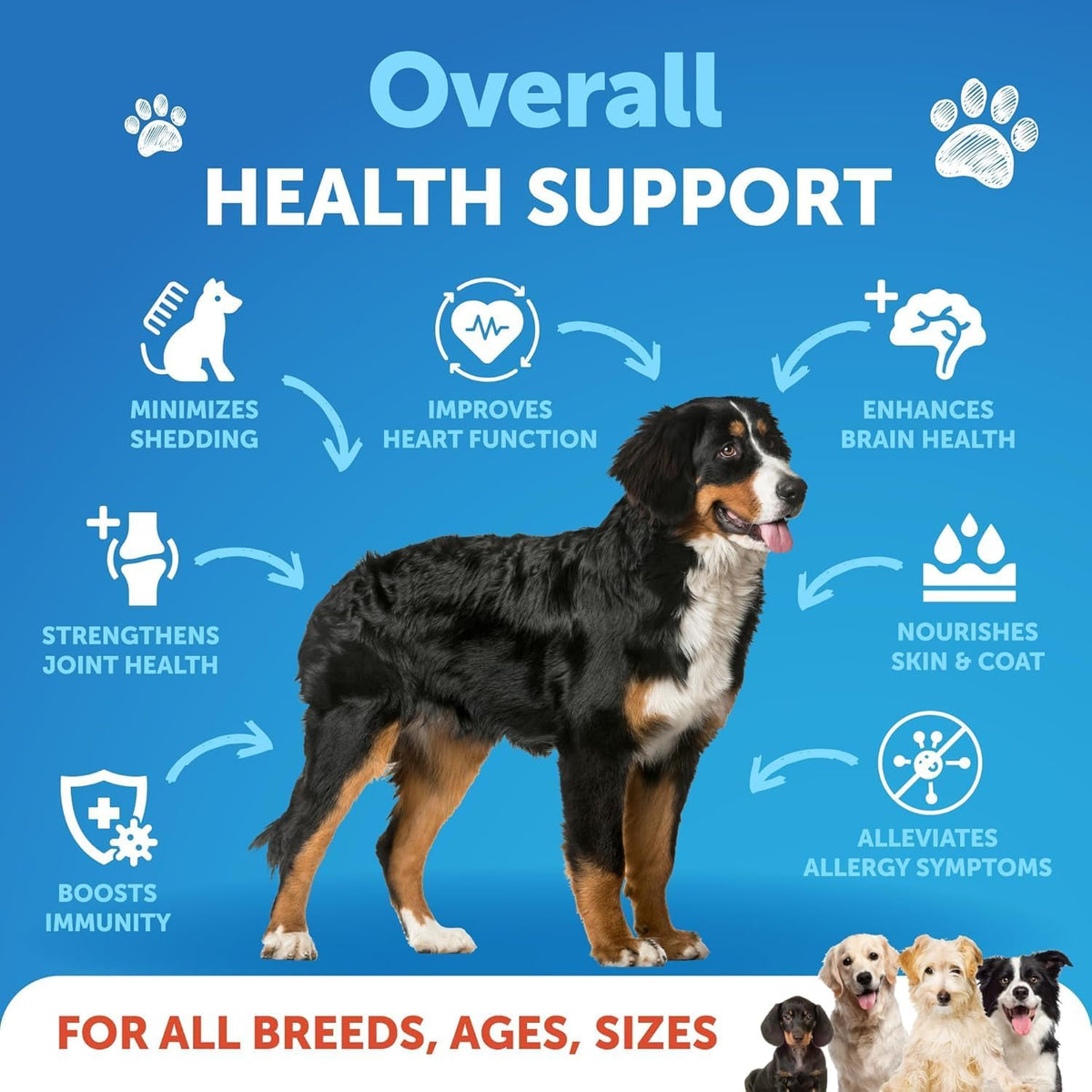 Travel Pack of Chews for Dogs - Fish Oil for Dogs - for Canines of All Breeds