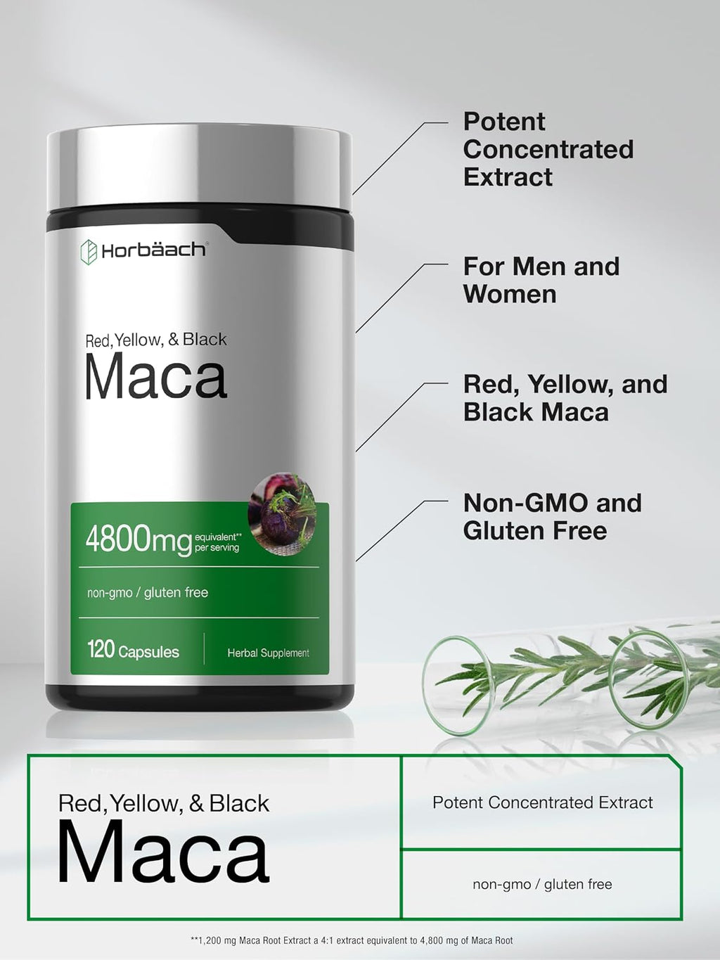 Horbäach Maca Root Capsules for Men and Women | 120 Pills | High Potency Extract | Non-GMO and Gluten Free Formula