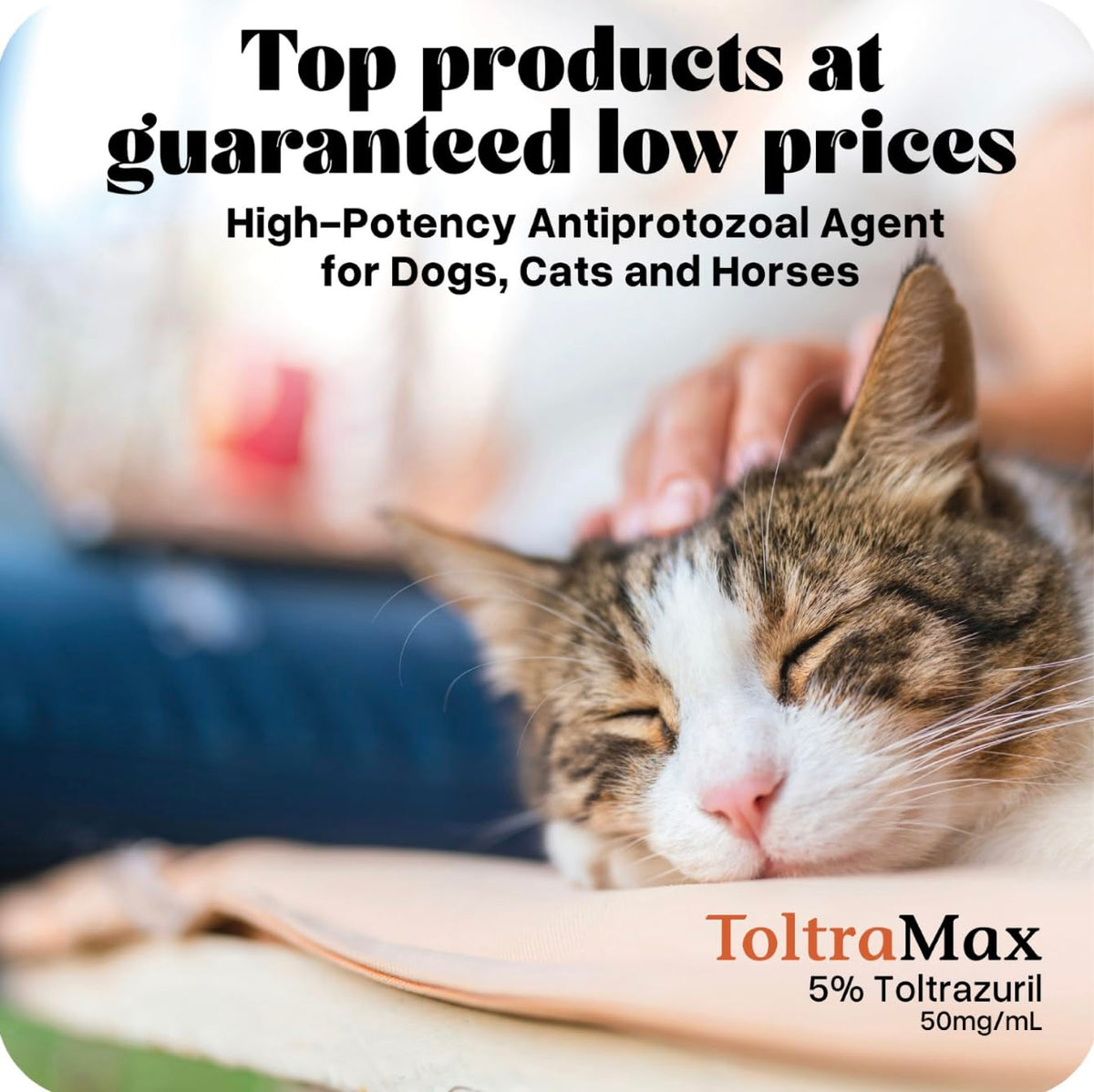 Vetr's Toltramax Toltrazuril Powder for Horses, Dogs, Cats, 100g (10.0%, Chicken)