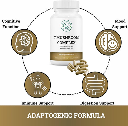 ALA & ALC Complex + 7 Mushroom Complex Bundle | Energy, Focus, Cognitive Support, Immunity, Metabolism & Daily Vitality
