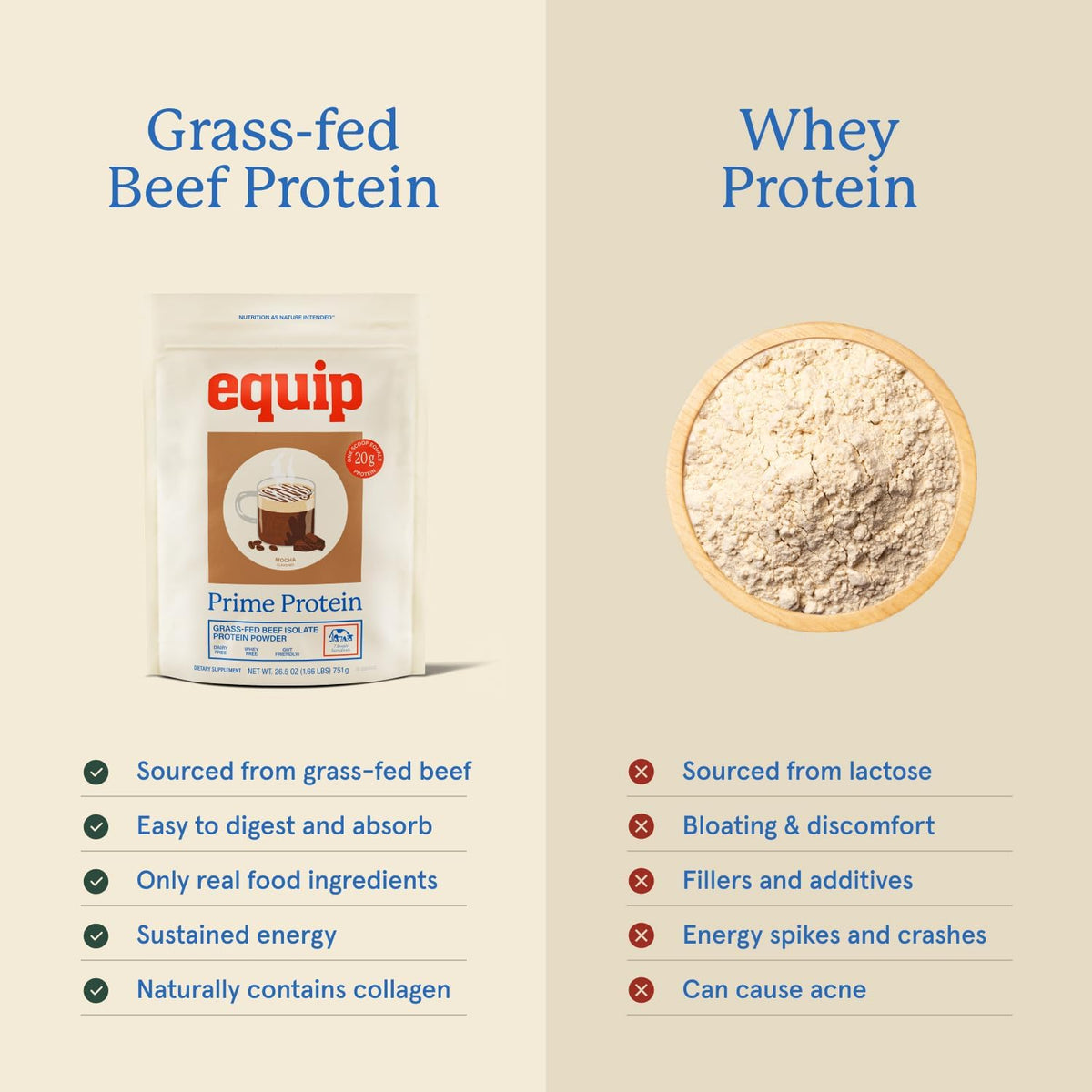 Equip Prime Mocha Protein Powder - Gut-Friendly, No Sugar Protein Shake Powder with Grass-Fed Beef & Natural Collagen - Rich & Creamy Mix - 21g Per Serving - Whey & Dairy-Free (30 Scoops)