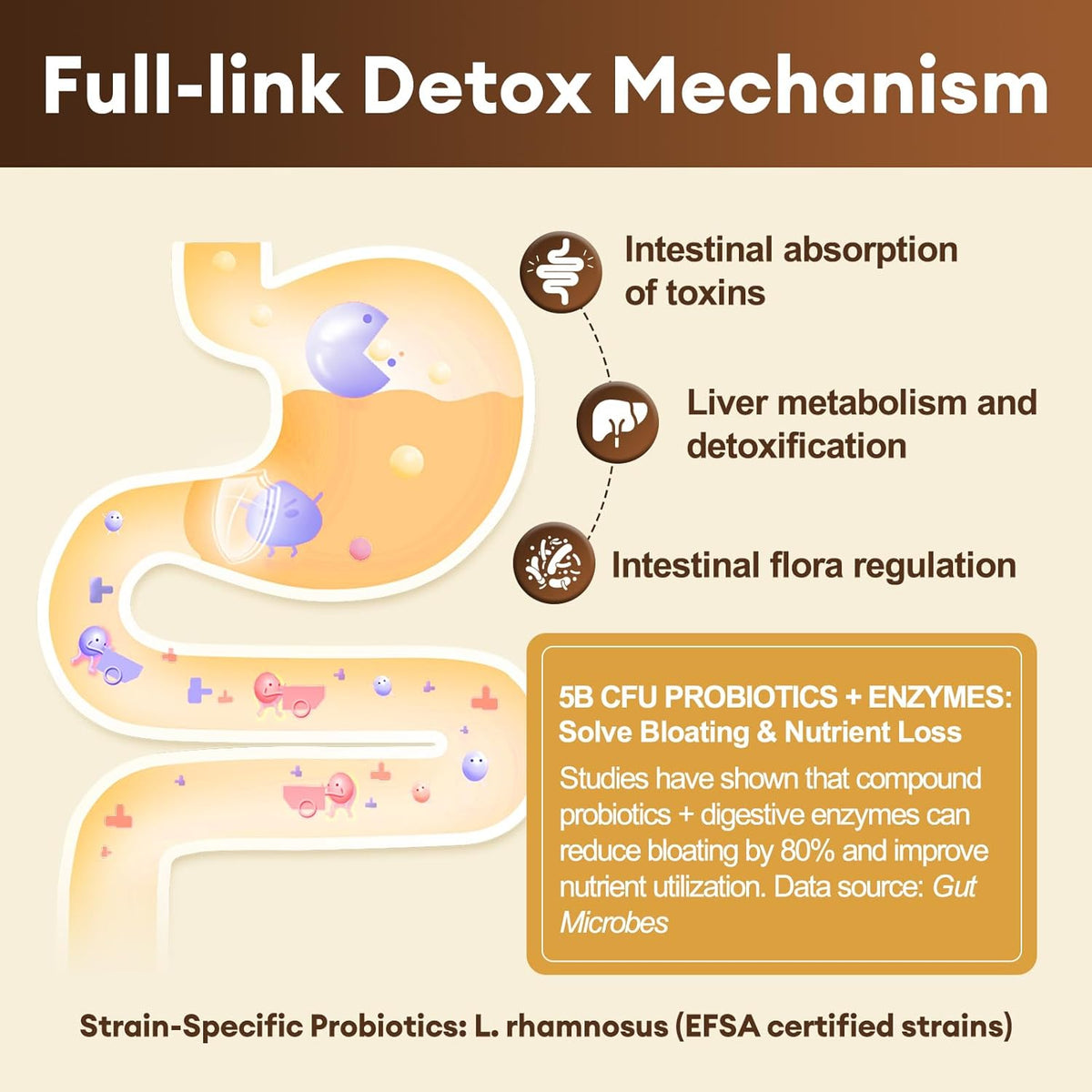 Totaria 2000MG All-in-1 Detox Binder + Strongest ''Lymph-Liver''