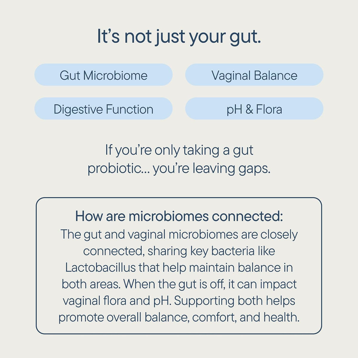 Zenwise Health Tribiotic, Probiotics, Prebiotics for Women - 60 CT | 25 Billion CFU, Prebiotic + Probiotic + Postbiotic, Digestive & Bloating Relief, Vaginal & PH Support