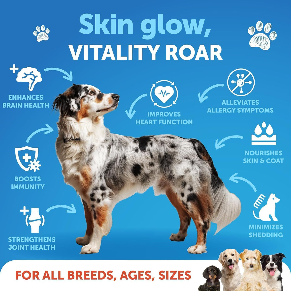 Probiotics + Salmon Oil for Dogs Bundle - Dog Probiotics and Digestive Enzymes with Prebiotics for Gut Health, Itchy Skin, Allergies, Immunity, Yeast Balance - Wild Alaskan Salmon Oil for Dogs Skin an