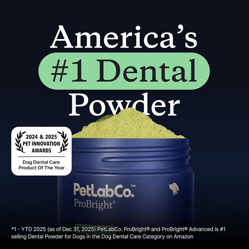 PetLab Co. – Oral Hygiene & Gut Health Bundle: Dental Powder for an Effortless Clean in 1 Scoop for Medium Sized Dogs & Probiotics for Dogs Supporting Gut Health & Seasonal Allergies