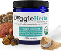 High Potency Immune Support – Critical Care Formula with Turkey Tail, Reishi & TCM Mushrooms + Herbs – Doctor Formulated Powder for Recovery, Vitality & Cellular Health 100g
