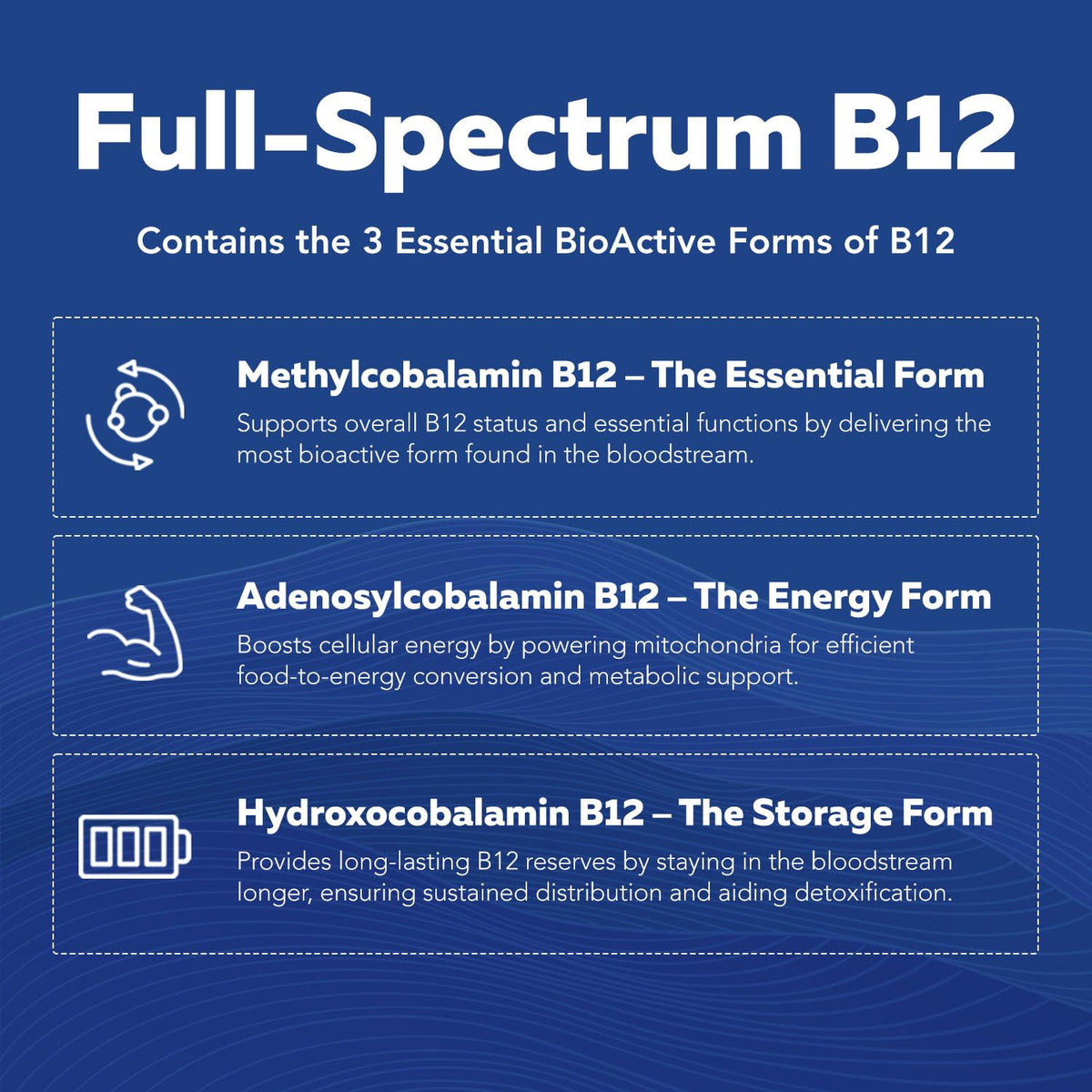 BioActive Vitamin B Complex - Blood Stream Ready, Methylated B Complex - Featuring Methylfolate, 3 BioActive Forms of B12, BenfoPure® B1 & Pantesin® B5 - 12 B Vitamins in Clinical Doses - 60 Servings