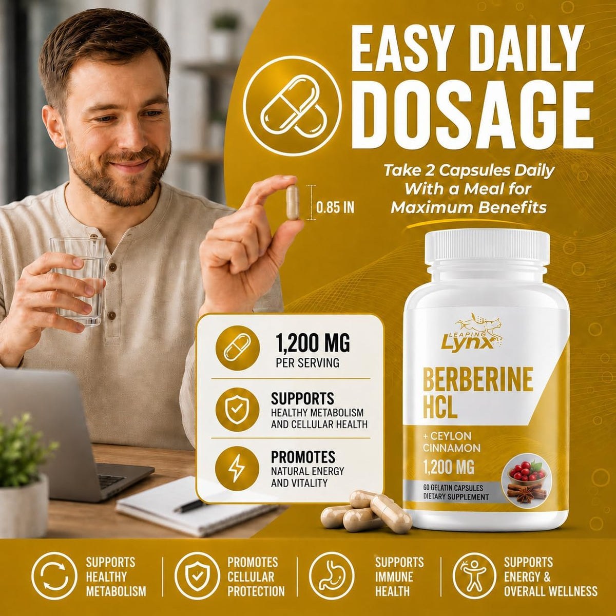Berberine HCl 1200mg - 60 Capsules - High Absorption Berberine Supplement - 30-Day Supply