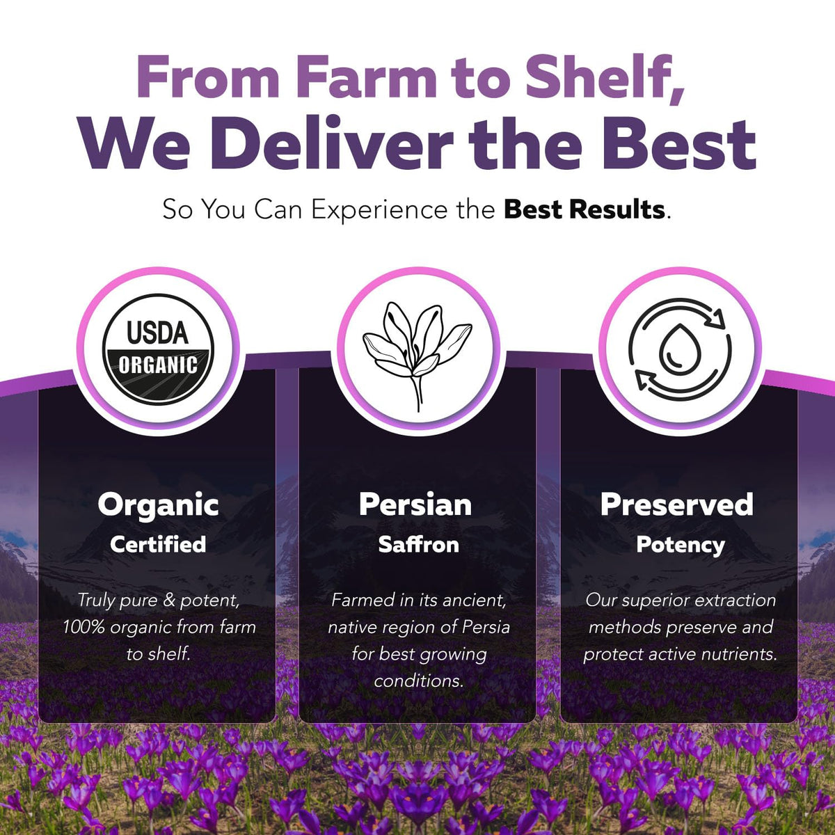 Organic Saffron Extract: Optimized Extract with Safromotivines, Safranal, and Crocins – Clinically Studied | Premium Persian Sargol Quality | Supports Mood, Calmness, and Relaxation – 30 Servings