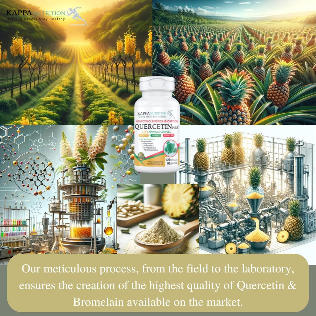 QUERCETIN PLUS, Quercetin 1,000mg, Bromelain 500mg and Vitamin C 1,000mg, (120 Capsules), 3 in 1 from Bioflavonoids, Supports Immune, Cardiovascular & Respiratory Health, Seasonal Allergy Relief.