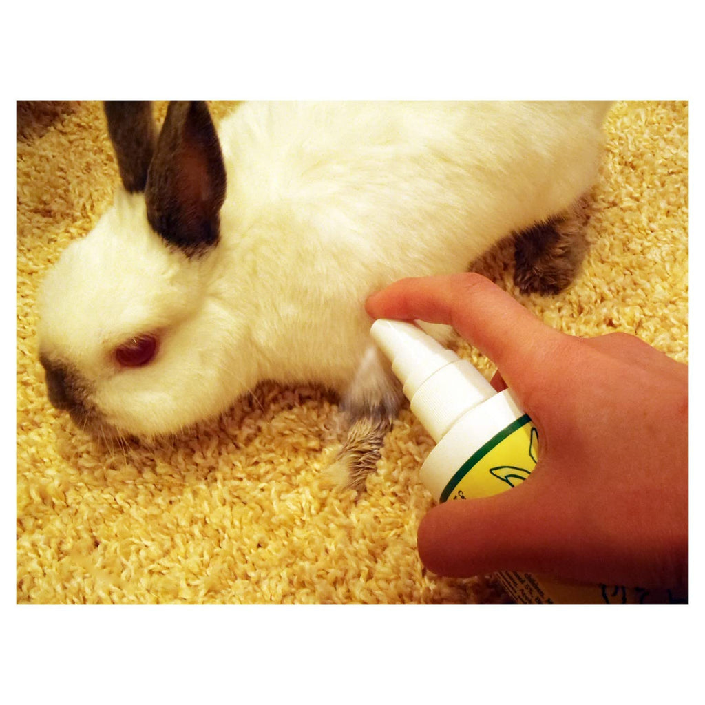 Grannicks Bitter Apple 8oz w/Sprayer-2 pack