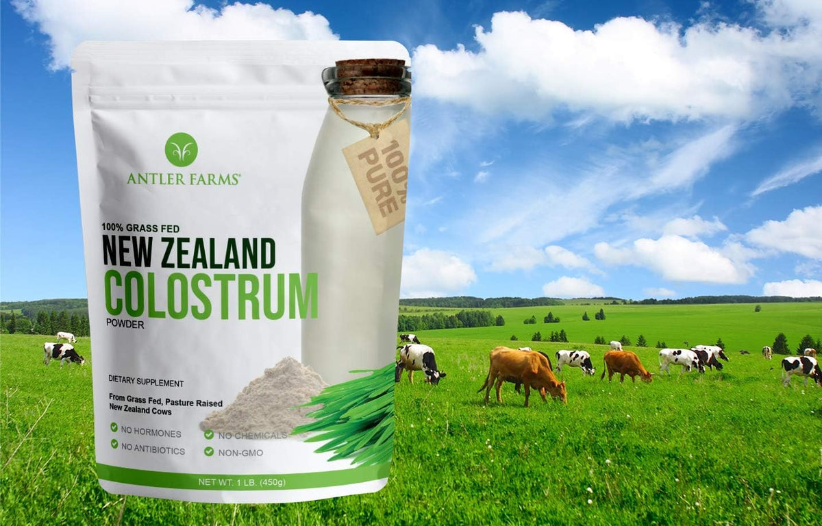 Antler Farms 100% Pure New Zealand Colostrum, 30 Servings, 1 lb - Grass Fed, Pasture Raised, Clean Sourced, Cold Processed, Undiluted, High IgG Content | 100% Pure, Pasture Raised, Clean Sourced, Super Potent, Cold Processed, Undiluted, 20-25% IgG Content