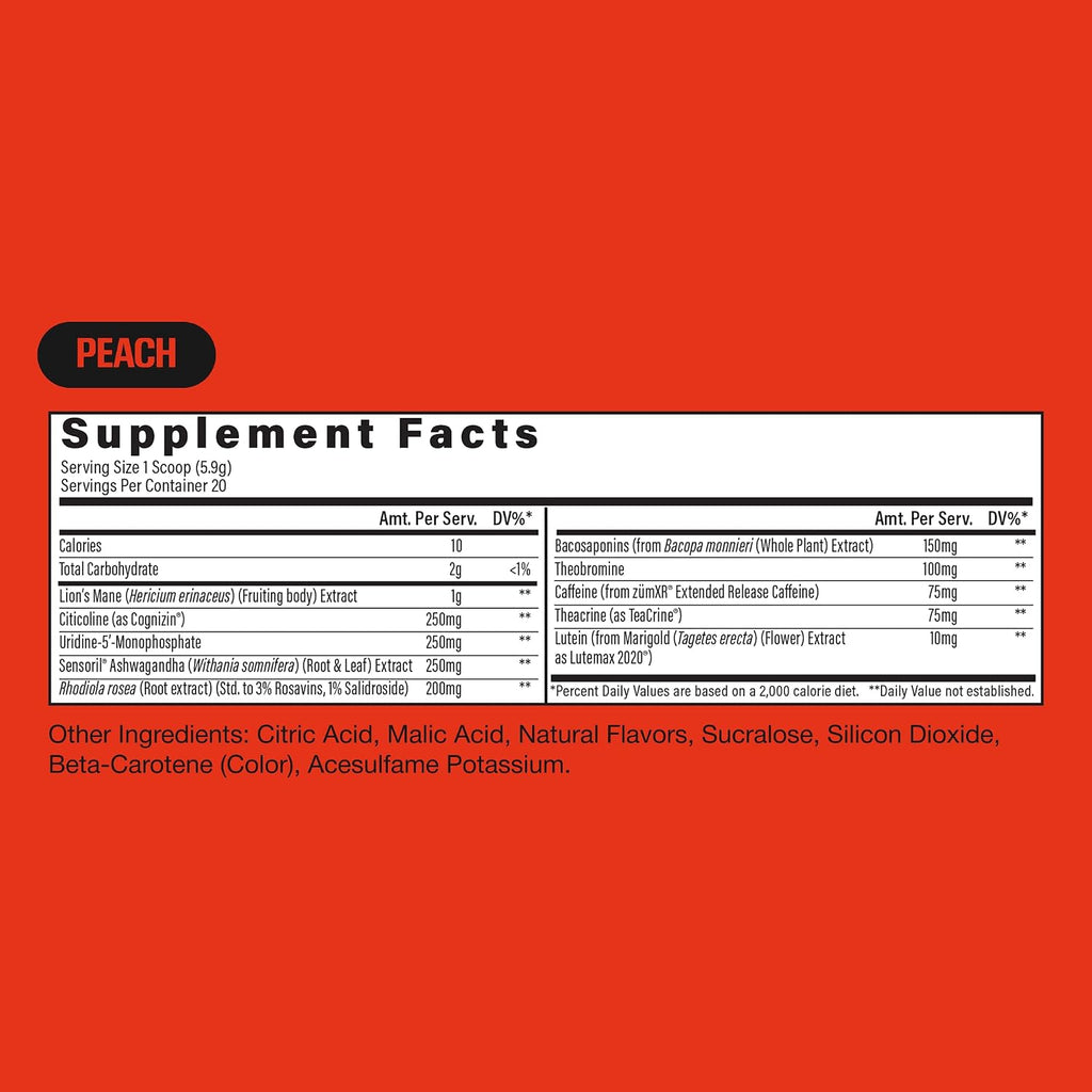 RAW Steady State Low Stim Nootropic Pre Workout Powder for Men & Women - Low Stimulant Neuopathy Supplement for Energy & Focus - No Jitters or Tingles - Natural Extended Release Caffeine - 20 Servings