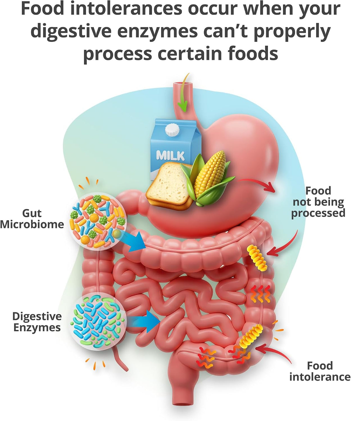 5Strands Food Intolerance & Environmental Sensitivity Test, at Home Hair Analysis for Adults & Kids, Pinpoint Digestive Stressors & External Exposures, Results in 4 Days