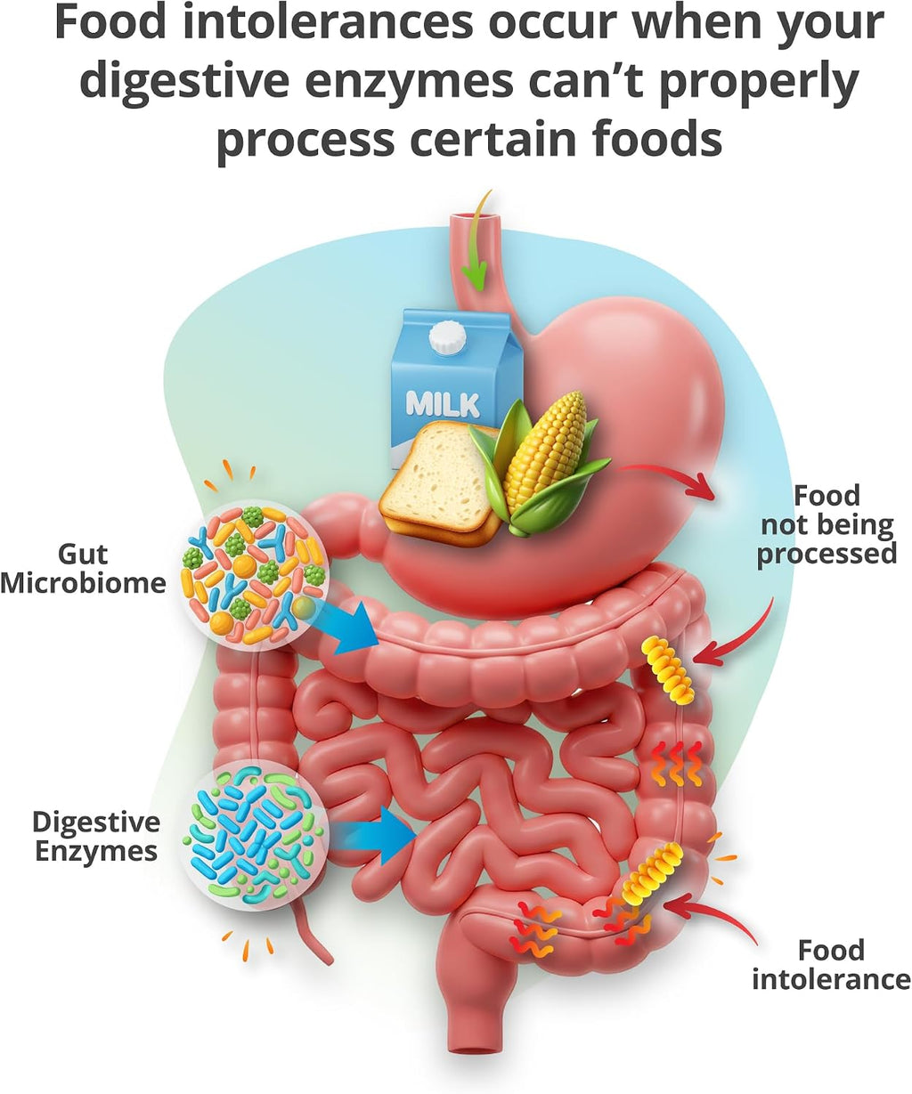 5Strands Food Intolerance Test for Adults & Kids, 800 Items Tested