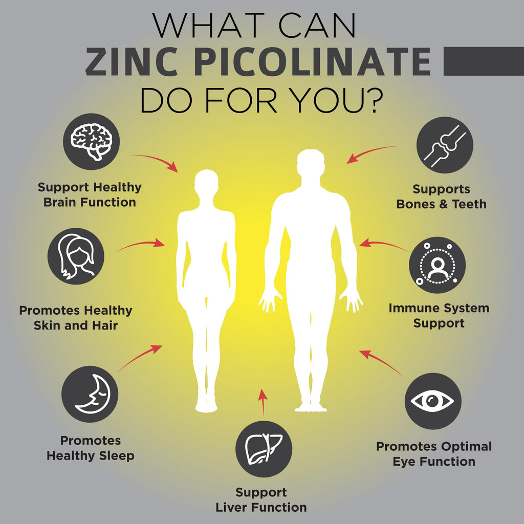 OmniBiotics Zinc Picolinate 30mg Supplement – High Absorption Zinc for Immune System, Healthy Skin, and Energy Support – 180 Vegan Capsules