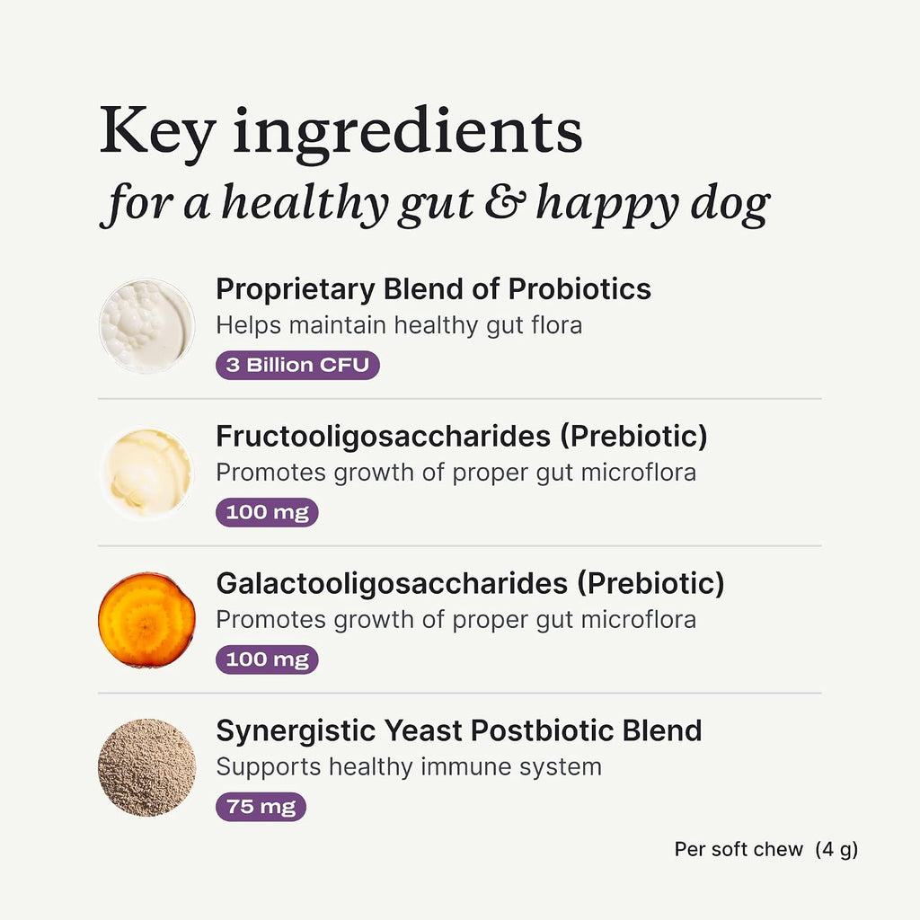 PetLab Co. – Gut & Digest Daily Duo: Pumpkin Powder Blend for Easy Digestion & Firm Stools for Small/Medium/Large Dogs & Salmon‑Flavoured Probiotic Chews to Support Gut & Immune Balance – Easy to Use