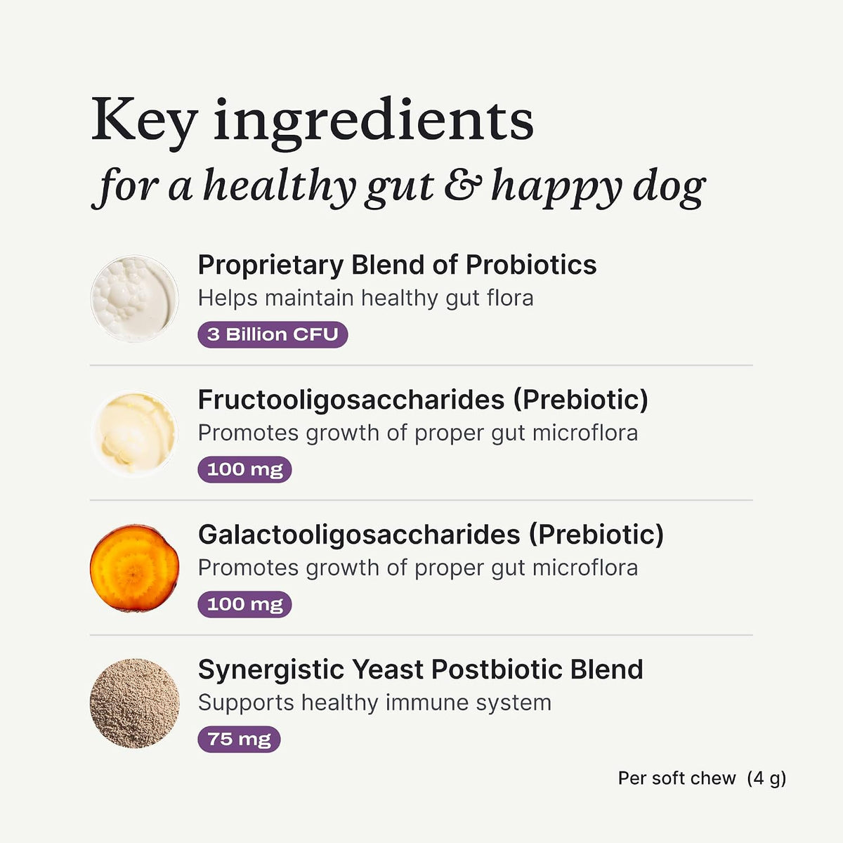 PetLab Co. – Gut & Digest Daily Duo: Pumpkin Powder Blend for Easy Digestion & Firm Stools for Small/Medium/Large Dogs & Salmon‑Flavoured Probiotic Chews to Support Gut & Immune Balance – Easy to Use