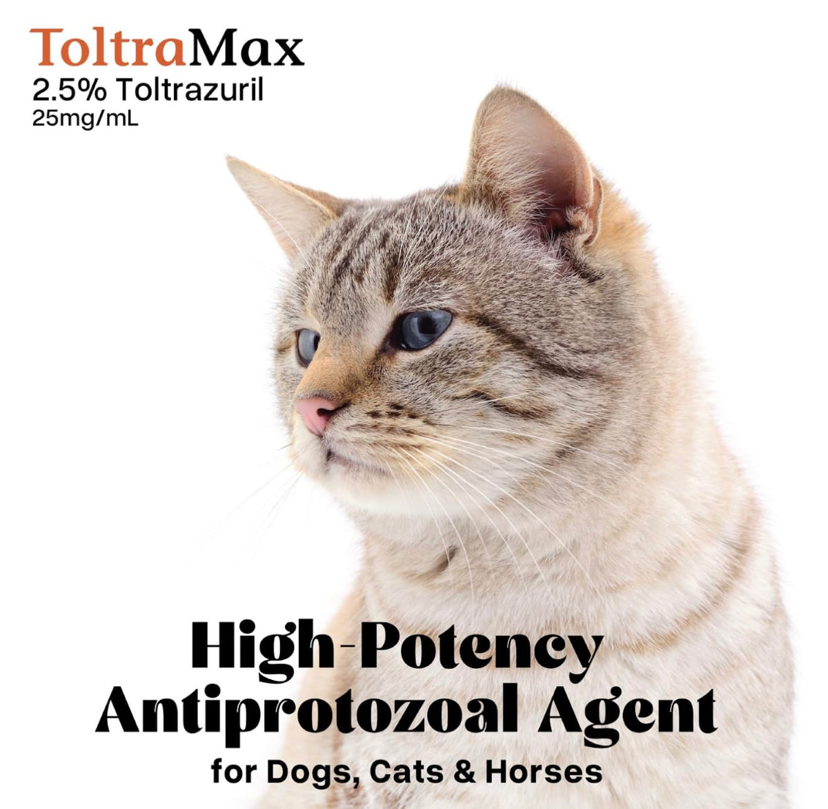 Vetr's Toltramax Toltrazuril Powder for Horses, Dogs, Cats, 100g (10.0%, Chicken)