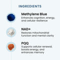 Recharge - Energy & Cognitive Supplement, Methylene Blue, NAD & PQQ, 60ct