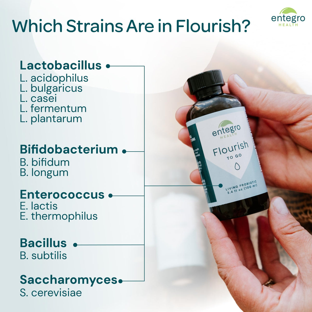 ENTEGRO Flourish Original Liquid Probiotic & Postbiotic Supplement, Plastic | 11 Live Cultures, Gut & Digestive Health For Women, Men & Kids, Organic, Vegan, Allergen Free, Non-GMO, USA Made, 16 fl oz