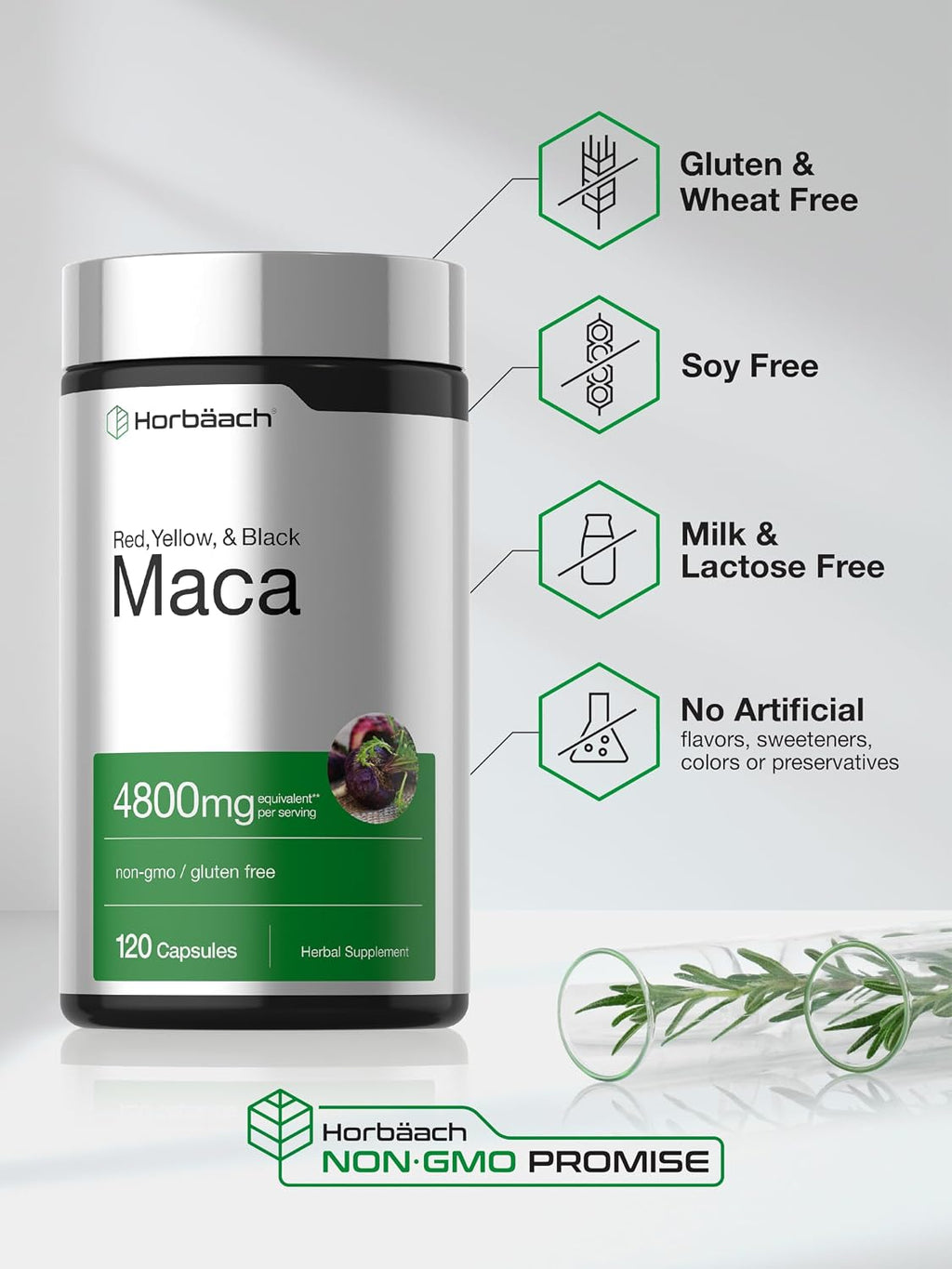 Horbäach Maca Root Capsules for Men and Women | 120 Pills | High Potency Extract | Non-GMO and Gluten Free Formula