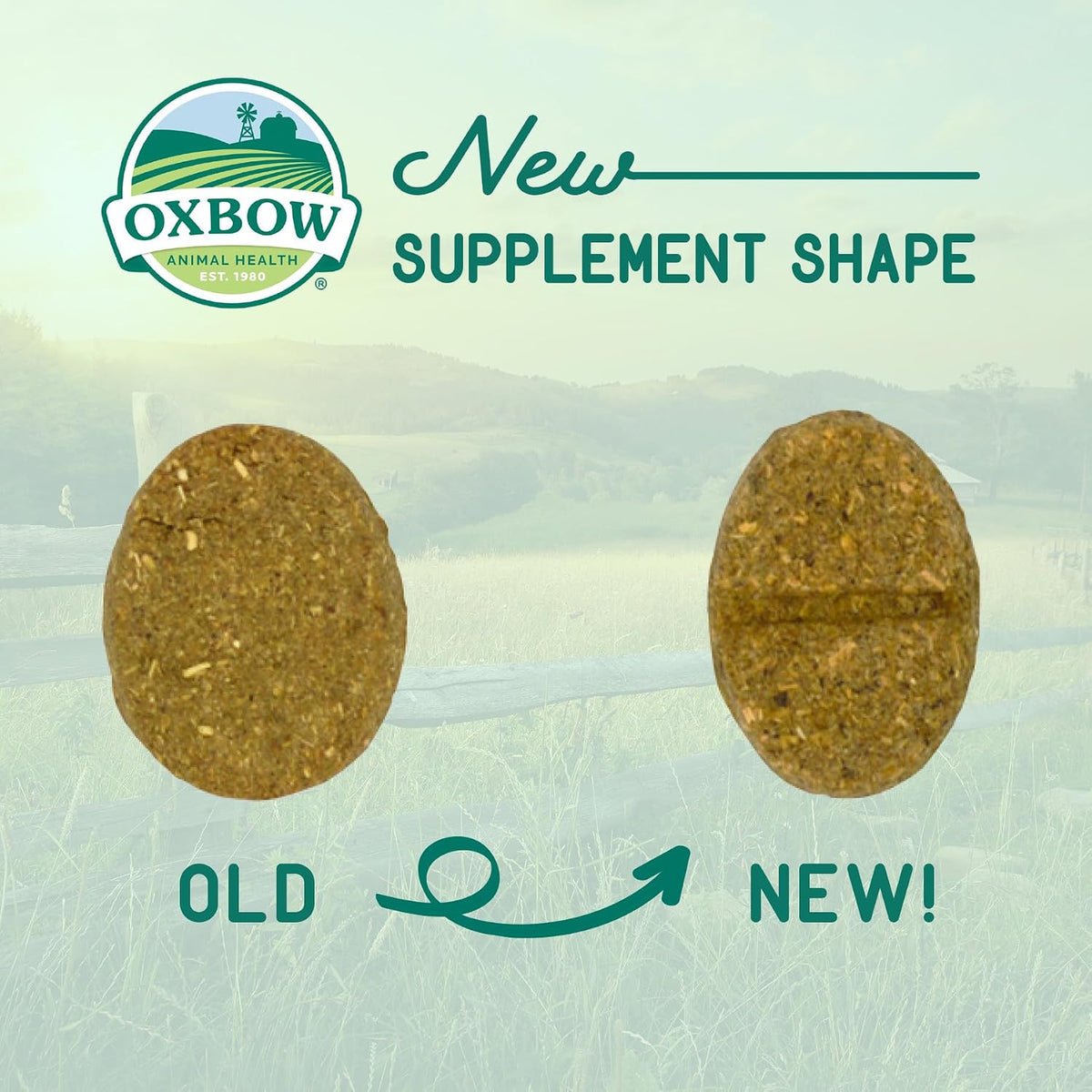 Oxbow Natural Science Joint Supplement for Rabbits & Guinea Pigs, 4.2 oz | Healthy Cat Treats, Natural Feline Snacks, Protein Rich, Crunchy Biscuits, Indoor Cats, Kitten Rewards, Made in USA