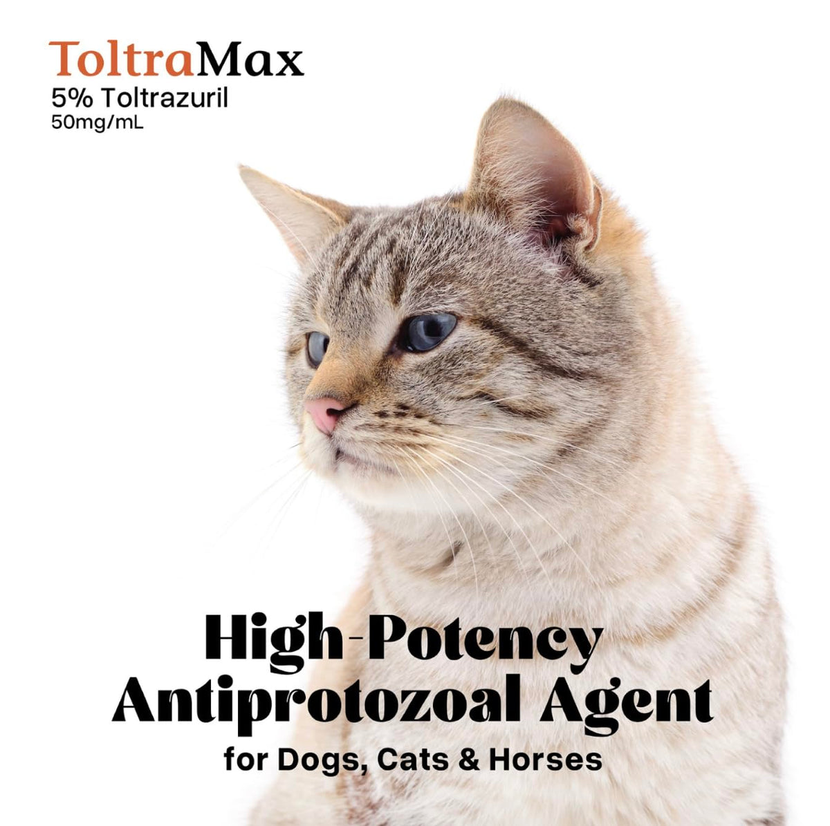 Vetr's Toltramax Toltrazuril Powder for Horses, Dogs, Cats, 100g (10.0%, Chicken)