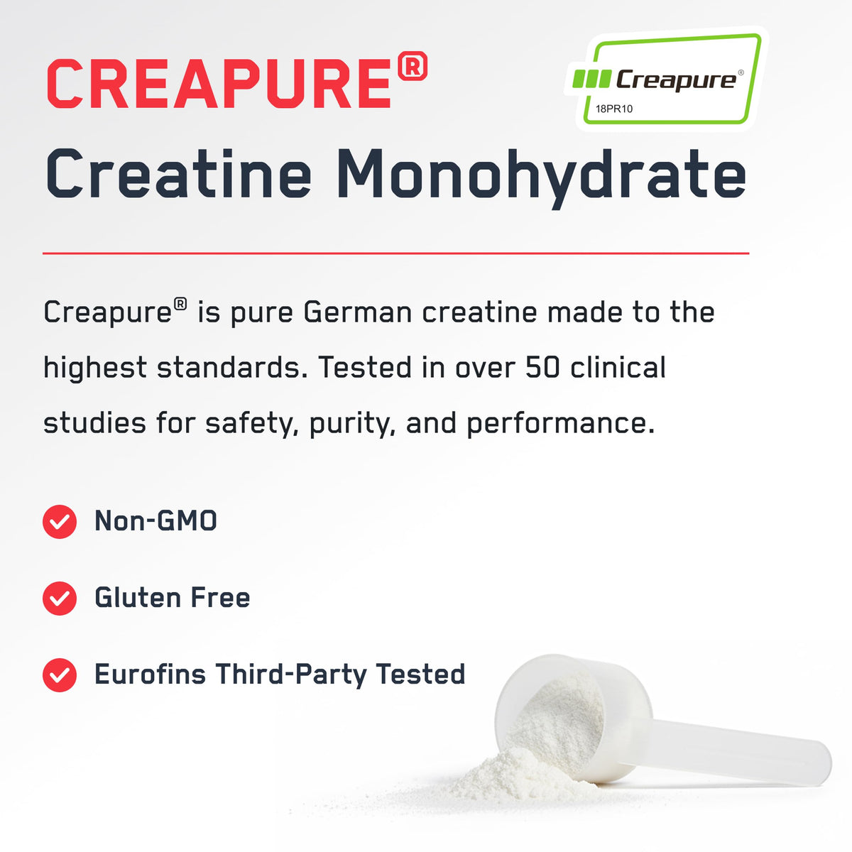 SteelFit Creapure Creatine Monohydrate Powder, Unflavored, 100 Servings | German Creatine Powder for Men, Women - Gym Workout Nutritional Supplements for Muscle Gain, Brain Health & Strength Building