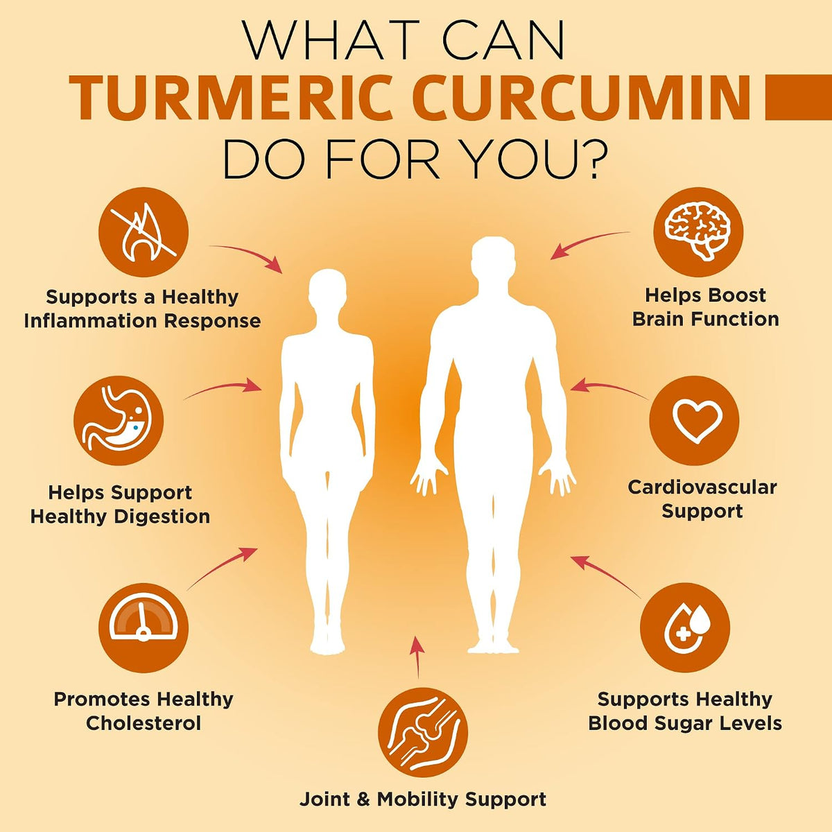 Milk Thisle Capsules + Organic Turmeric Curcumin
