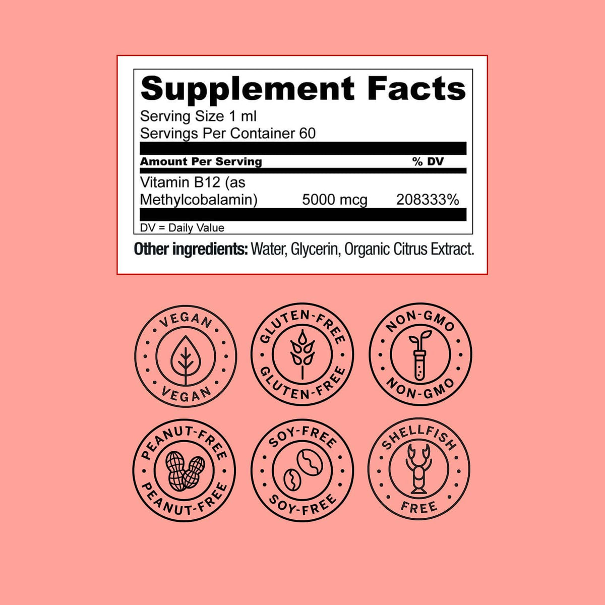 Live Conscious Vegan Vitamin B12 Sublingual Liquid Drops | Methylcobalamin Max Strength B12 5000mcg Formula | Vegan B 12 Vitamin Support Energy | Promote Memory & Aid Immune System | 60 Serving