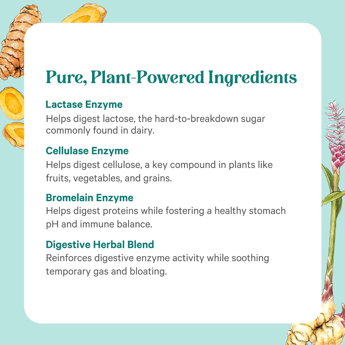 PURE SYNERGY Enzyme Power | Digestive Enzyme Supplement | Digestive Health Enzymes with Nattokinase, Bromelain, and Serrapeptase | for Digestive and Gut Health (90 Capsules)