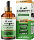 Chlorophyll Liquid Drops from Mulberry Leaf - Natural Peppermint for Detox, Internal Deodorizer and Immune Support - Maximum Absorption - 2 fl oz