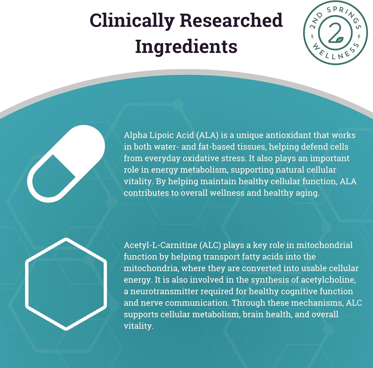 ALA & ALC Complex + Women’s Daily 7 Essentials Bundle | Energy, Metabolism, Cognitive Support, Hormone Balance, Digestion & Daily Wellness